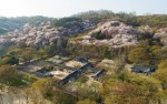 한국민속촌, 조선 시대 이색 ‘꽃놀이’ 축제 개막