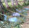 파푸아뉴기니 카리다 마을에서 부족 학살 일어나