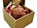 프랑스 기네스 세계 기록, 세계에서 가장 비싼 초콜릿은 크닙실트 라 마들린 오 트뤼플