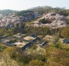 한국민속촌, 조선 시대 이색 ‘꽃놀이’ 축제 개막