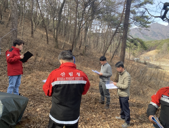 산림청, 소나무재선충병 방제사업지 점검