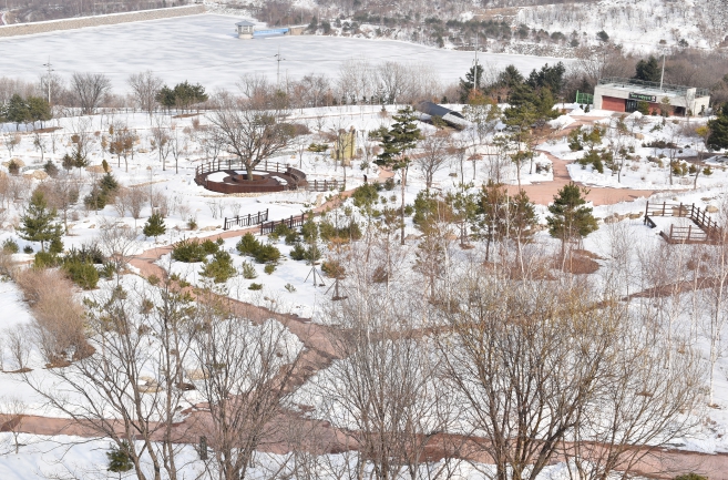 산림청, 봄을 준비하는 우리나라 최북단 DMZ자생식물원