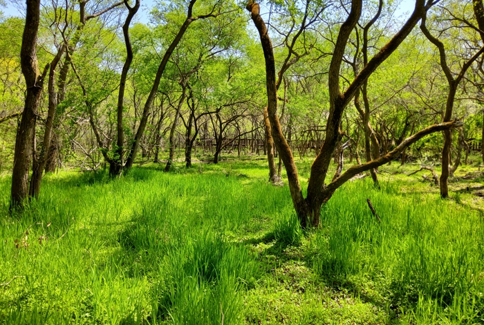 고창 고인돌·운곡습지, 환경부 4월 ‘이달의 생태관광지’로 선정