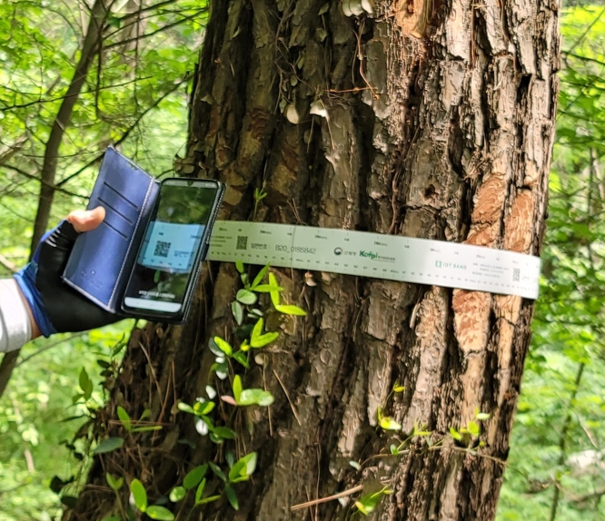 산림청, 소나무재선충병 방제 기술, 세계 최고 수준에 도달
